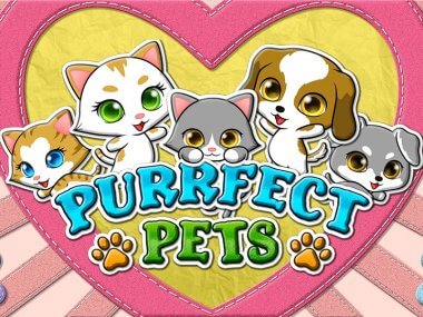 Purrfect Pets